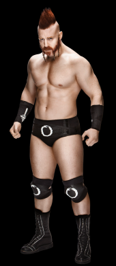 Intercontinental Champion
